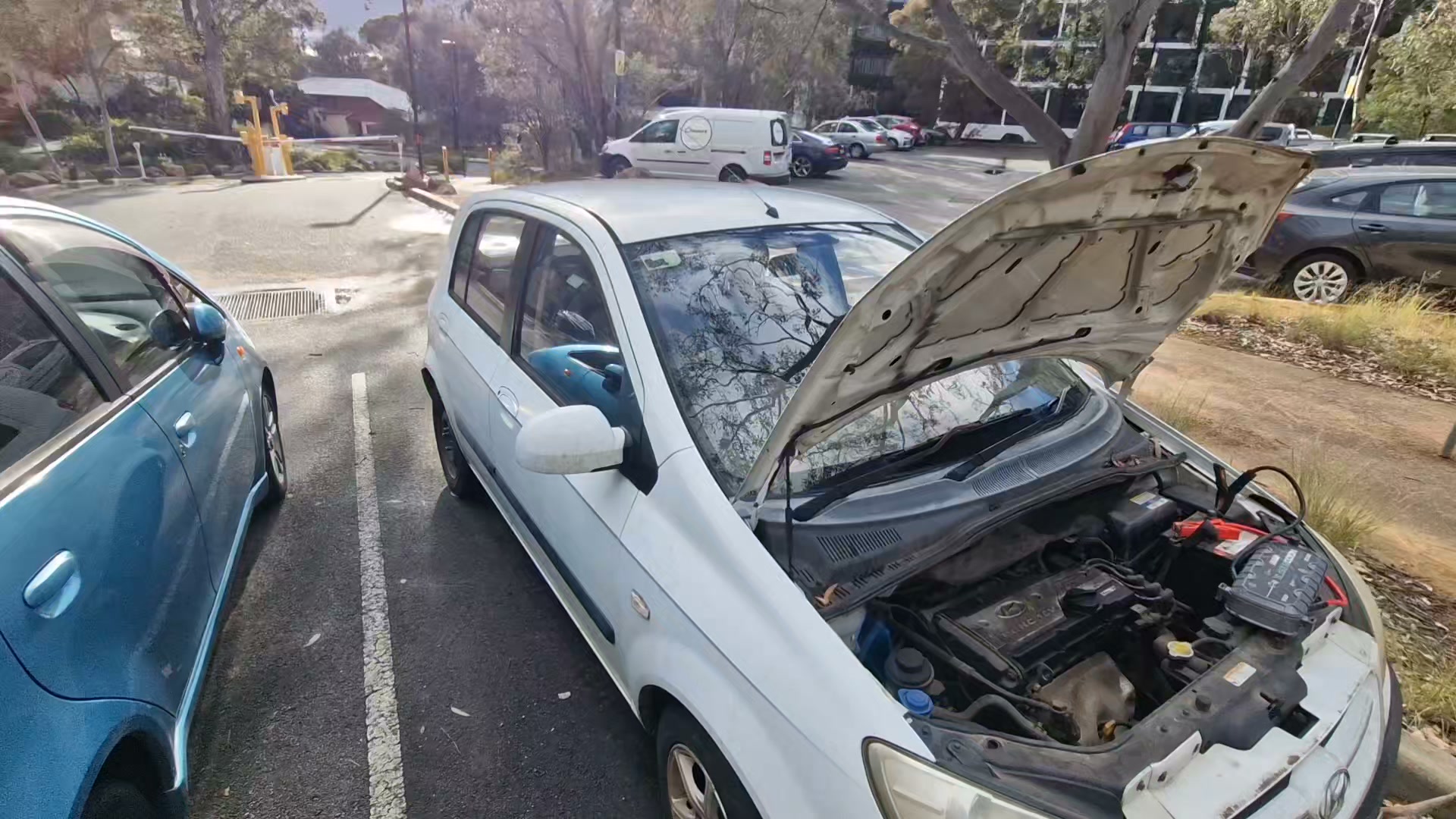 Auto electrical work in action — straight from the workshop.